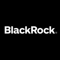 BlackRock Debt Strategies Fund, Inc.